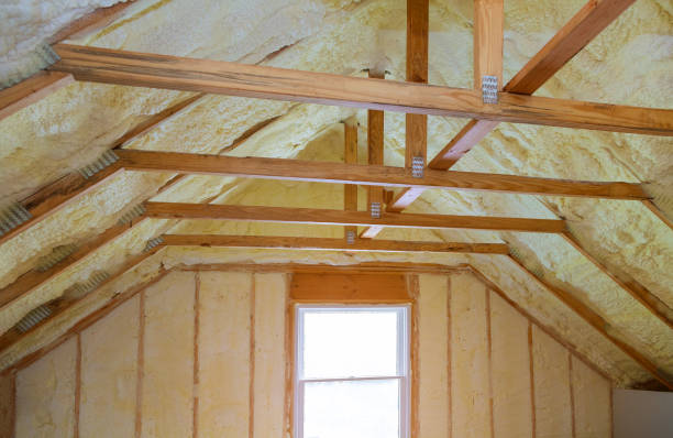 Best Cellulose Insulation in Bay Harbor Islands, FL