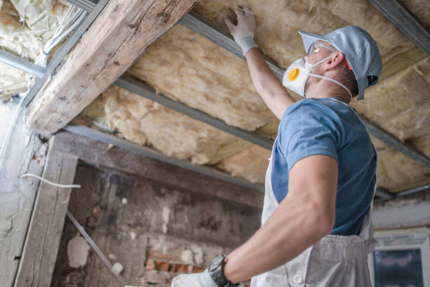 Best Cellulose Insulation in Bay Harbor Islands, FL