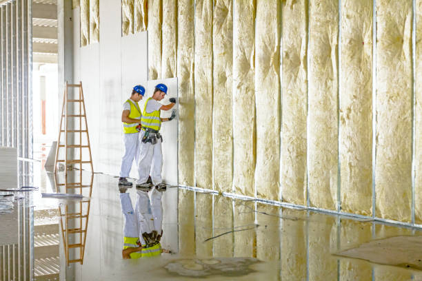 Best Eco-Friendly Insulation in Bay Harbor Islands, FL